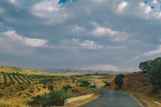 a road going through a grassy area
