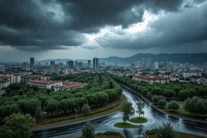 consultez les prévisions météo pour ce vendredi avec des pluies annoncées dans plusieurs wilayas. restez informé pour organiser votre journée en toute sérénité.